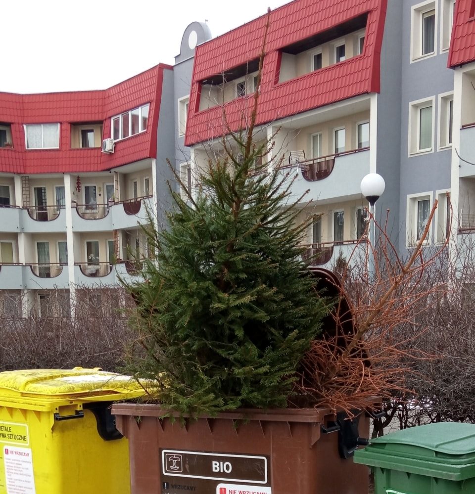 smietniki choinka